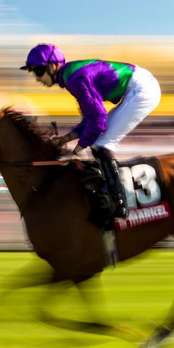 2018 Qatar Goodwood Festival.QGF2018.1st - 4th August 2018.Photo: Drew Gibson