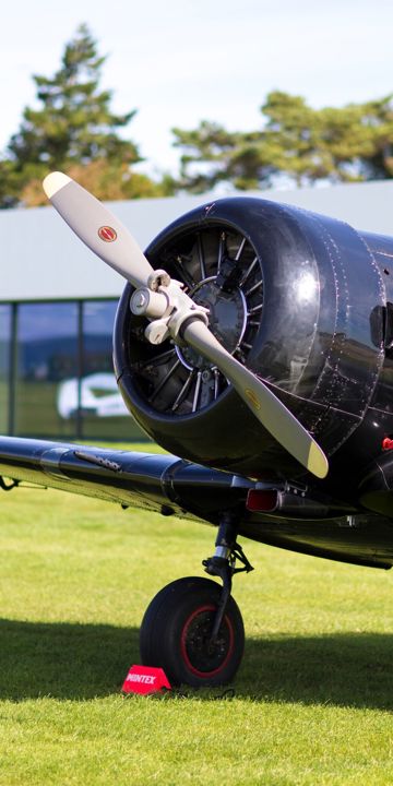 Aeroclub at Goodwood 2015 by Nicole Hains